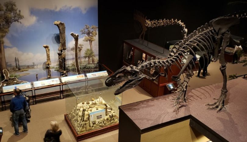 View of Dinosaur's Skeleton inside Museum of the Rockies