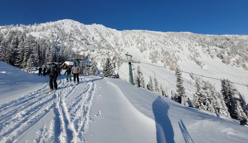 people doing skiing at Bridger Bowl Ski Area