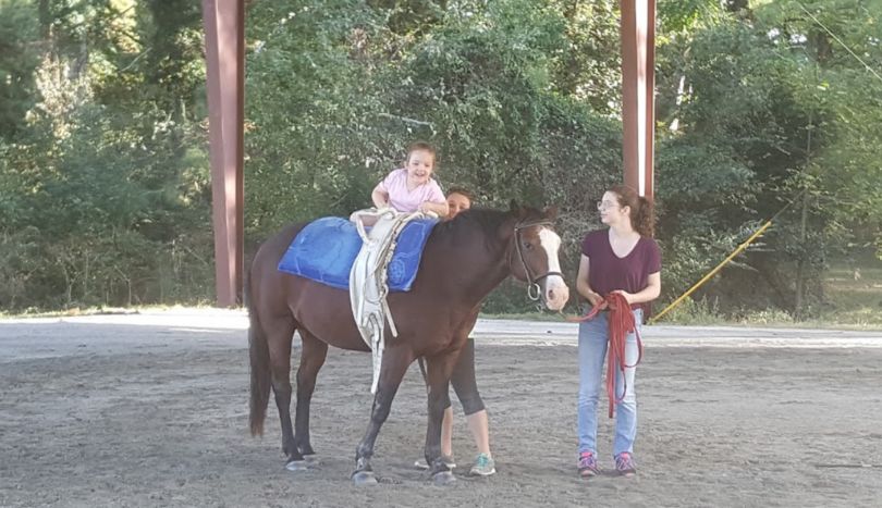 a child trying to sit on the horse at Falconwood Farms