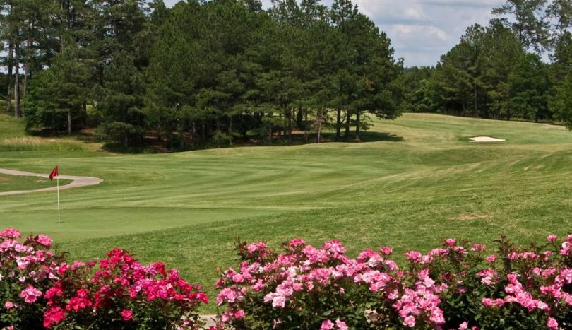 Leisurely Strokes at The Oaks Course