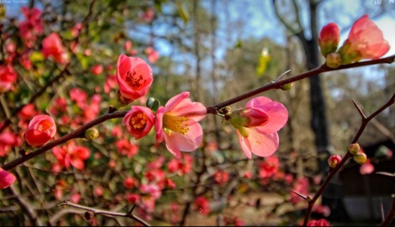 Things To Do in Covington GA at Alcovy Conservation Center