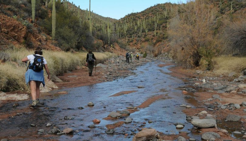 Things to Do in Strawberry AZ, Tonto National Forest