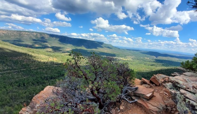 Bear Foot Trail