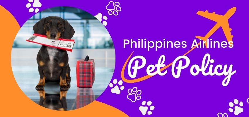 does philippine airlines allow dogs in cabin