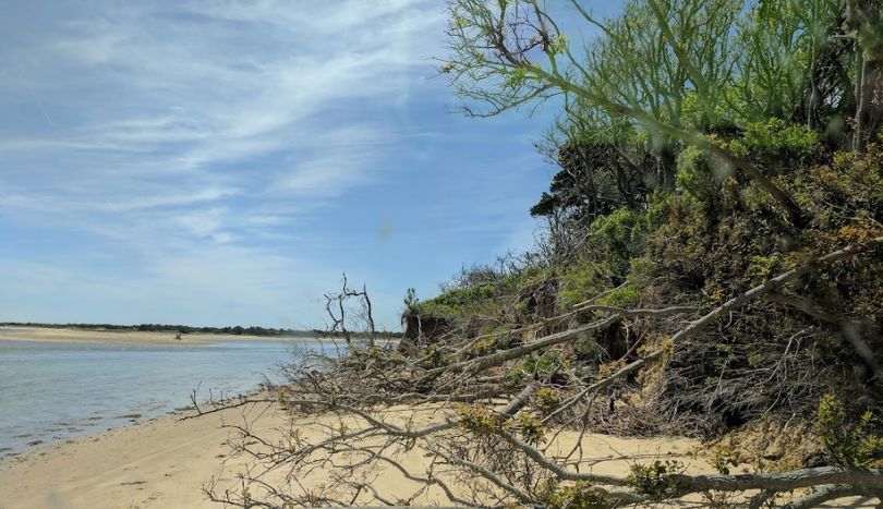 Coskata-Coatue Wildlife Refuge