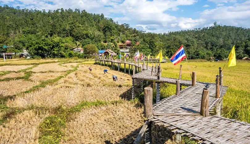 Pai in Thailand is Known for its lush Forestside