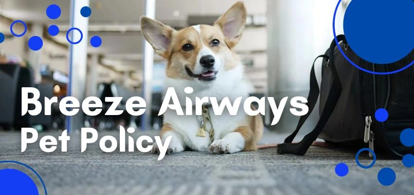 Breeze Airways Pet Policy