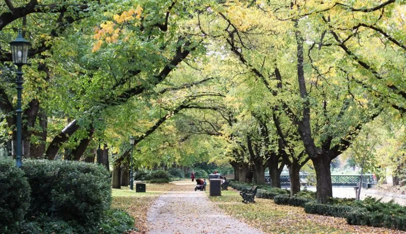 Rosalind Park