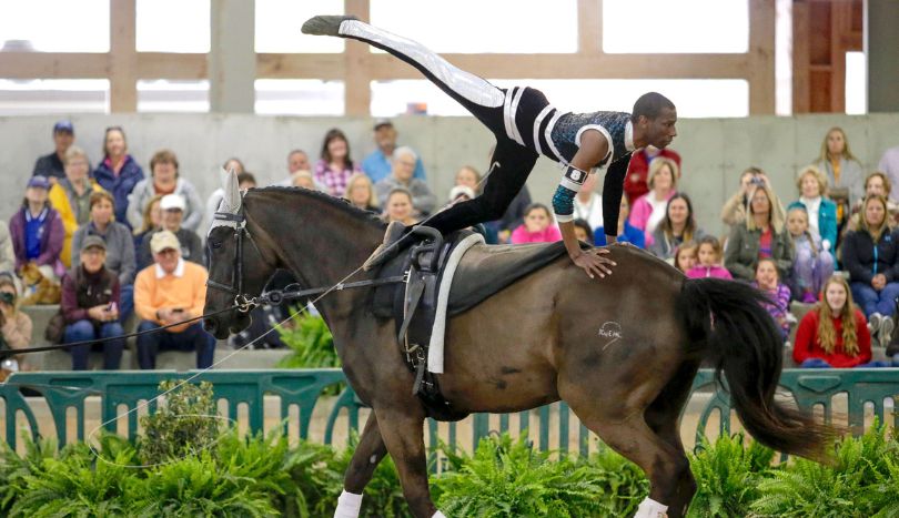 Things to Do in Davenport FL, taking horse riding lessons