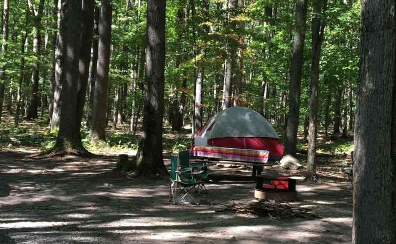 Things to Do in Morgantown WV, Camp at Coopers Rock State Forest