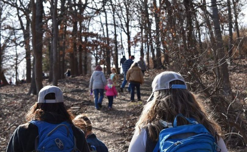 Embark on a Fall Hike