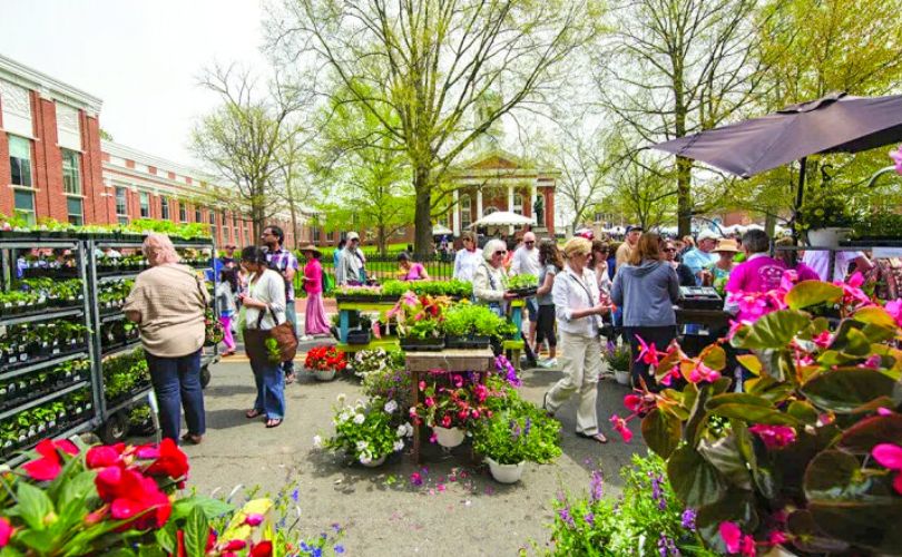 Flower and Garden Festival