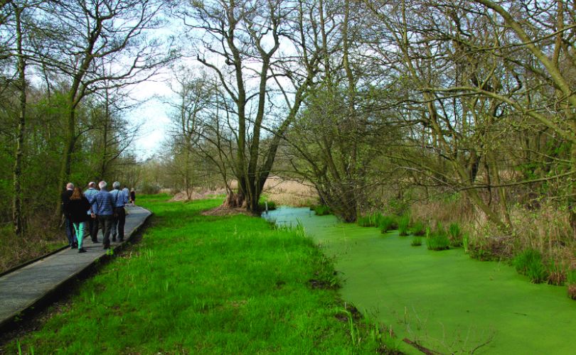 Filey Dams Nature Reserve