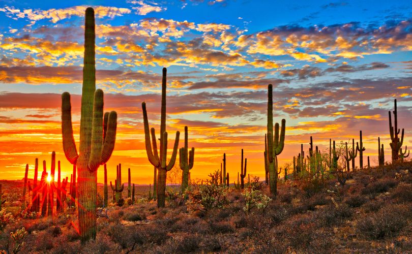 Best Places to Visit in November in USA, Arizona