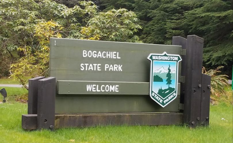 Bogachiel State Park