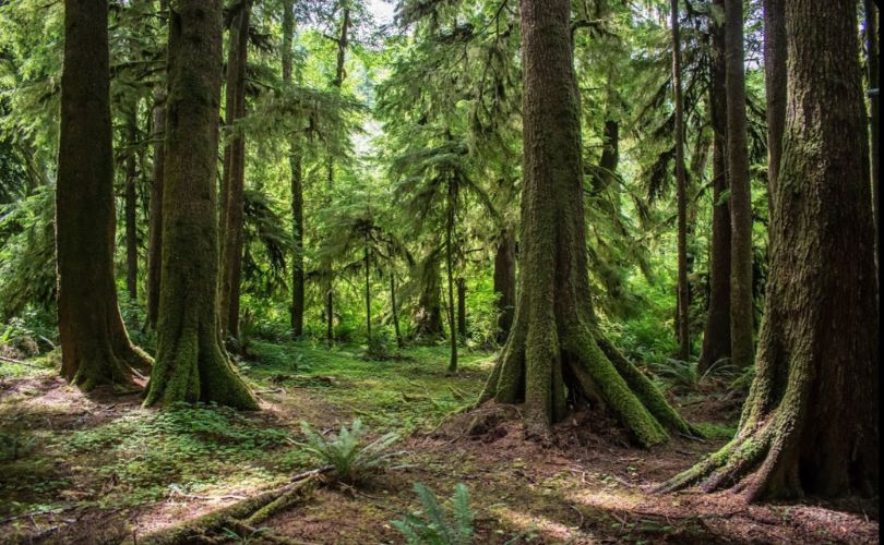 Elk Creek Conservation Area Trail