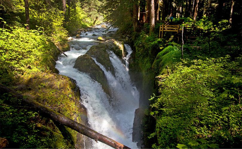 Sol Duc Valley