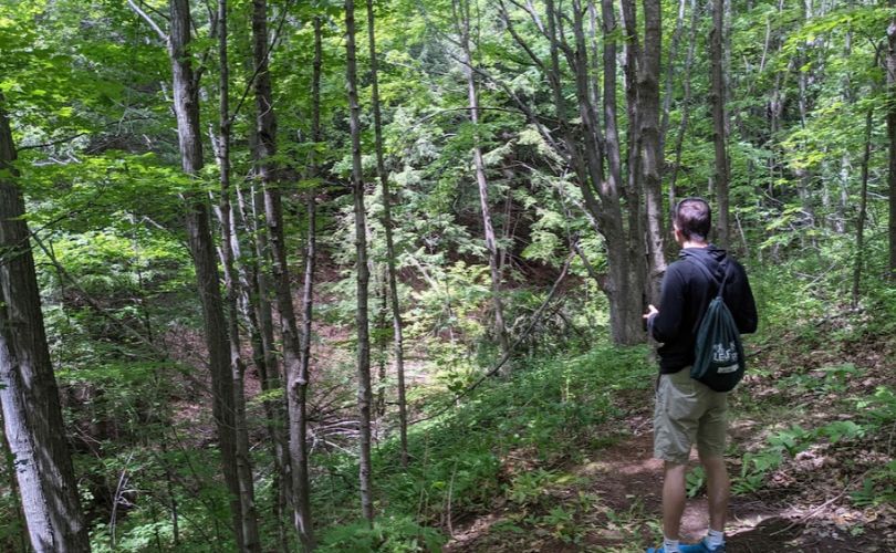 Things To Do In Bayfield, Big Ravine Trail