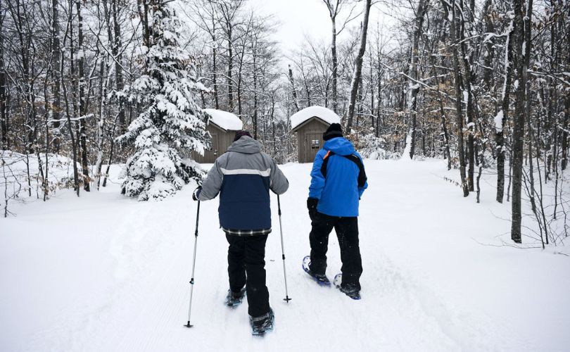 Brownstone Trail