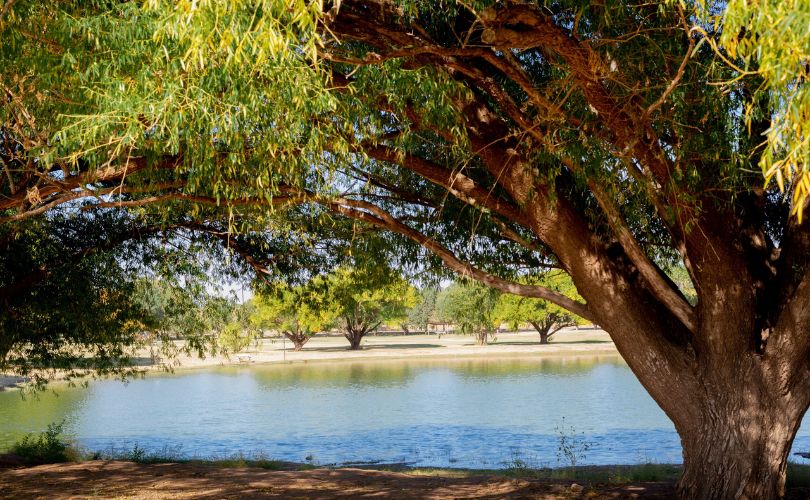 27 Things to do in Clovis NM, Places to go & Attractions