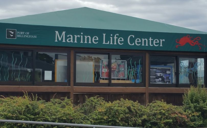 Best Things To Do in Bellingham WA, Attractions & Activities