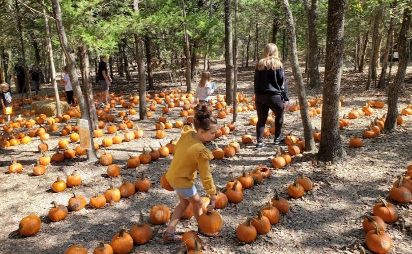 Blase Family Farm