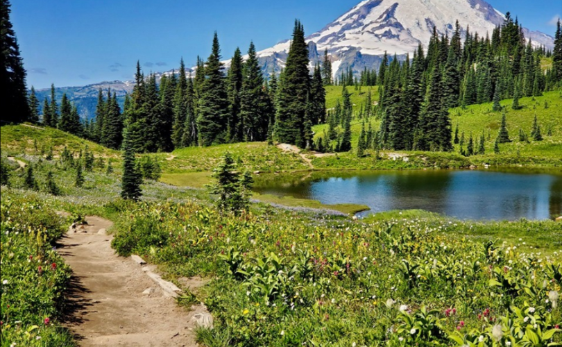 Mount Rainier National Park