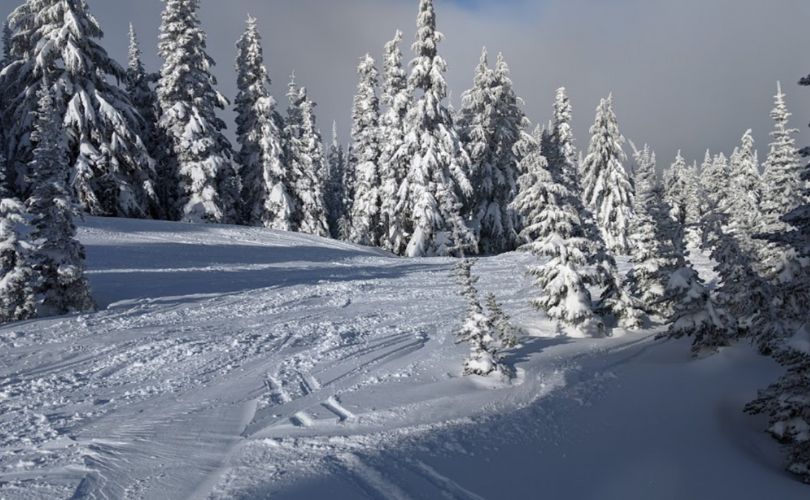 White Pass Ski Area