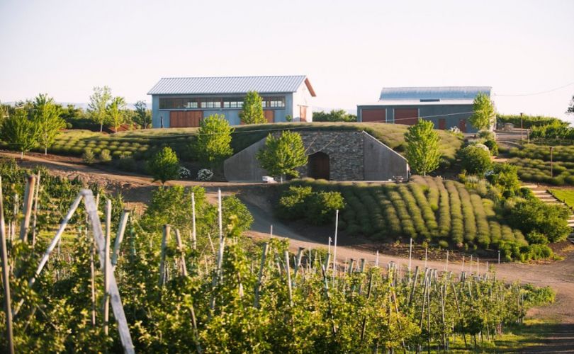 Gilbert Cellars' winery