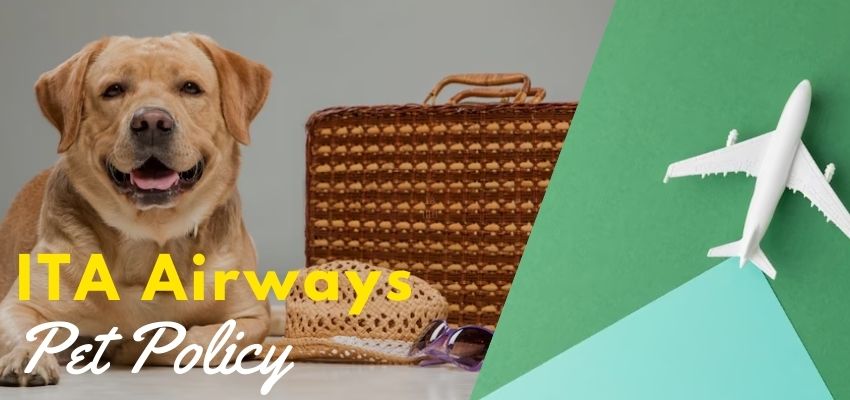 ITA Airways pet policy