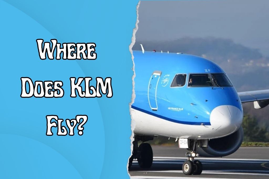 Where Does KLM Fly? Looking at Domestic and International Routes Covered 