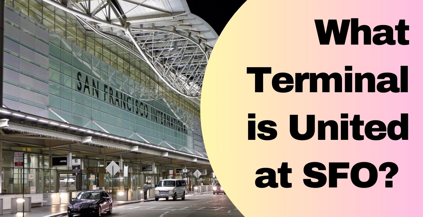 What Terminal is United at SFO