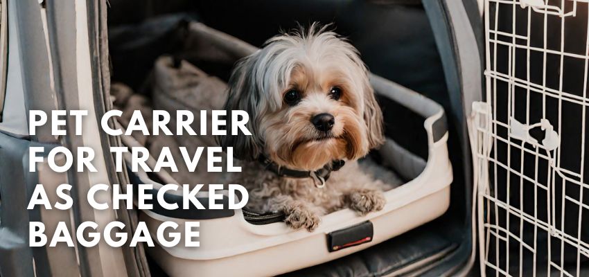 Pet carrier requirements for travel as checked baggage