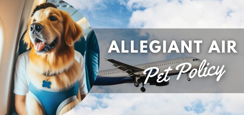 Allegiant Pet Policy - Airlinespolicy