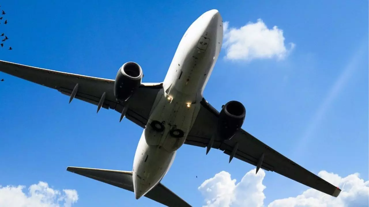 Turkish Airlines LHR Terminal Heathrow Airport +18664630405