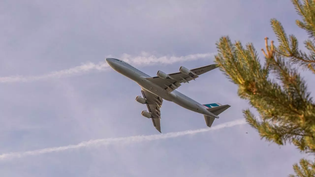 Avianca Airlines LAX Terminal Los Angeles Intl. Airport +1866463