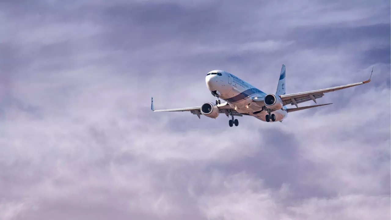 Turkish Airlines IST Terminal Istanbul Airport +18664630405