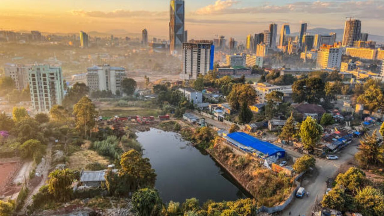 Turkish Airlines Addis Ababa Office