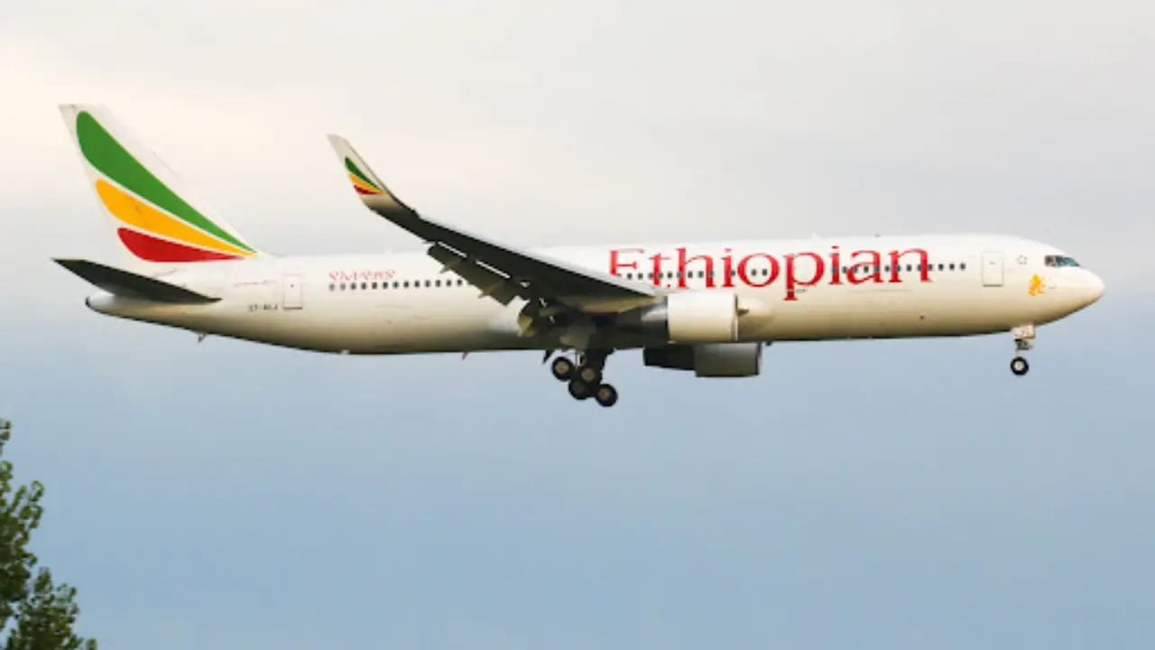 Ethiopian Airlines Terminal at John F. Kennedy Intl. Airport (JFK)
