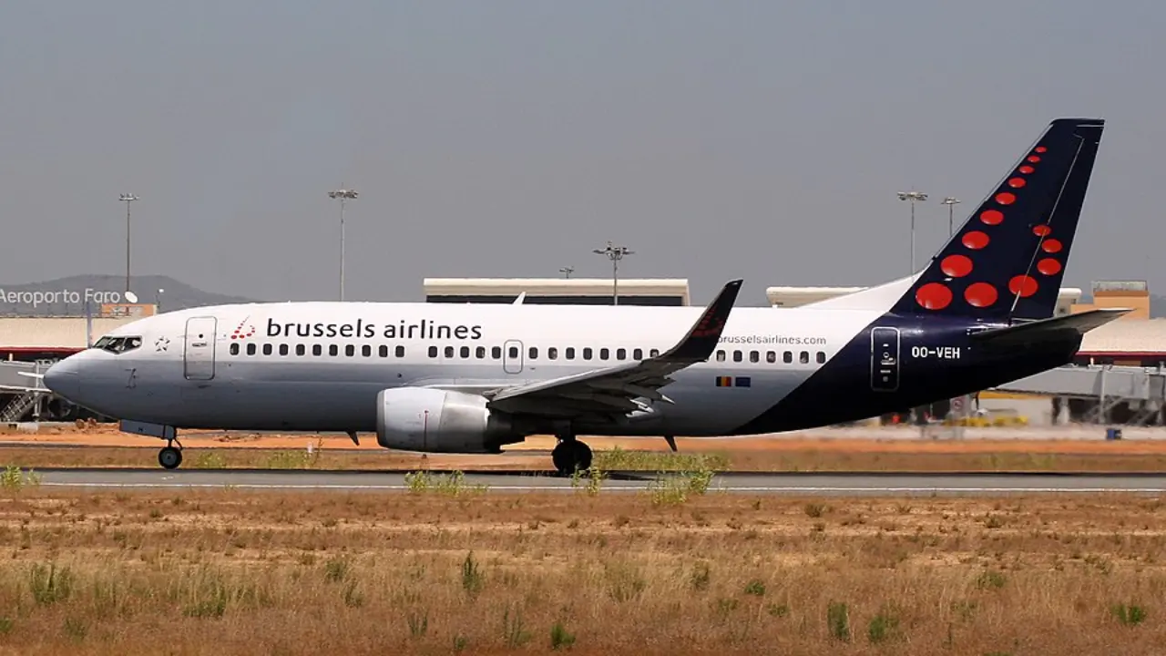 Brussels Airlines Terminal at John F. Kennedy International Airport (JFK)