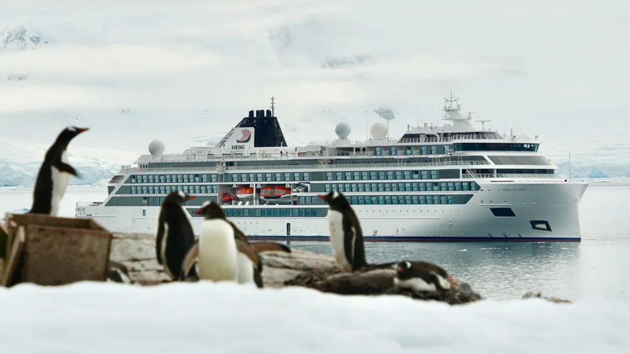 Best Time to Go on a Antarctic Cruises