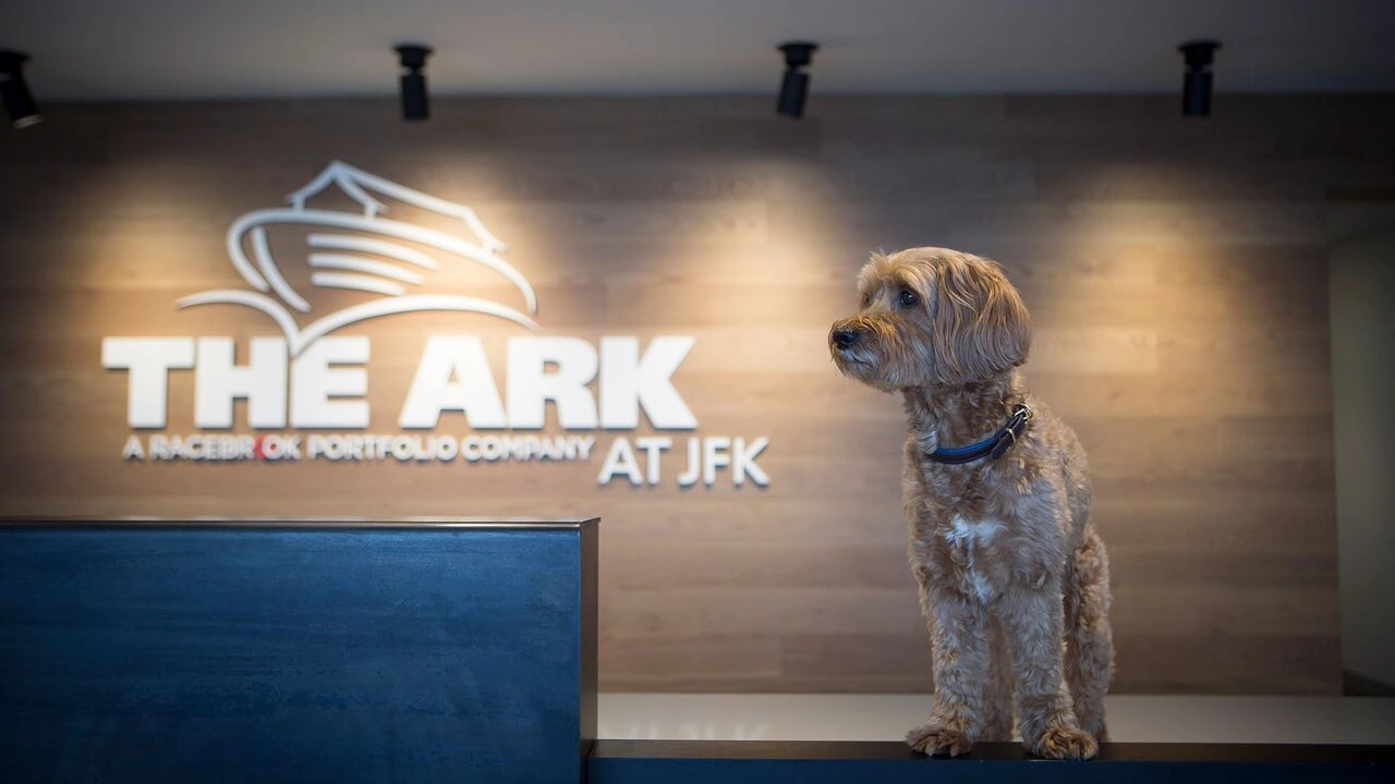 The ARK at JFK airport