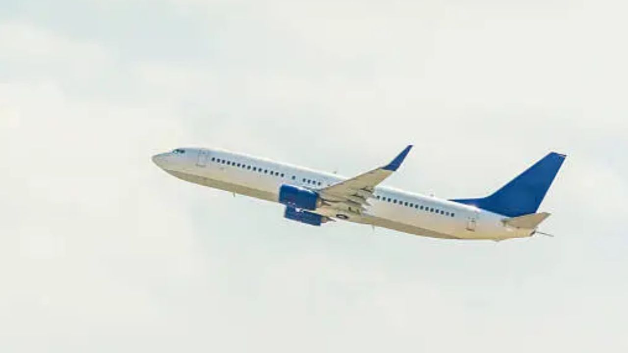 French Bee is the best airline to fly to paris