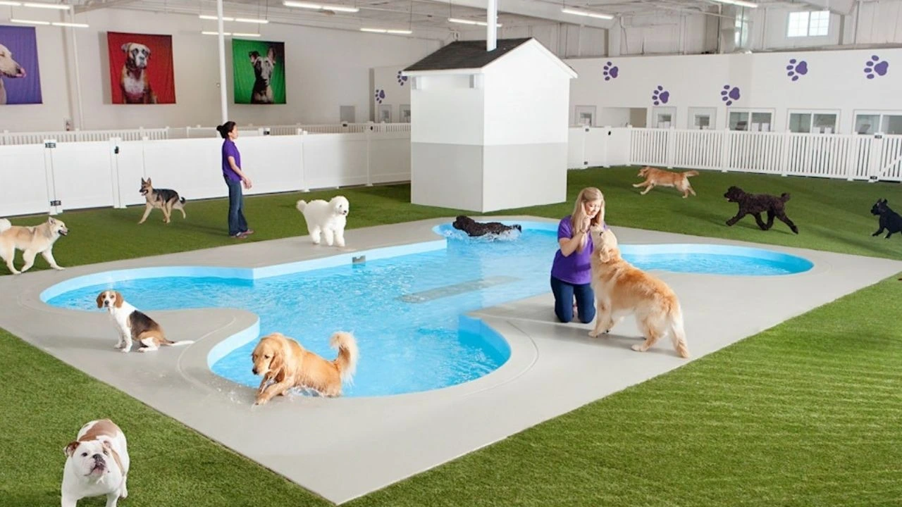 Pet Relief Areas