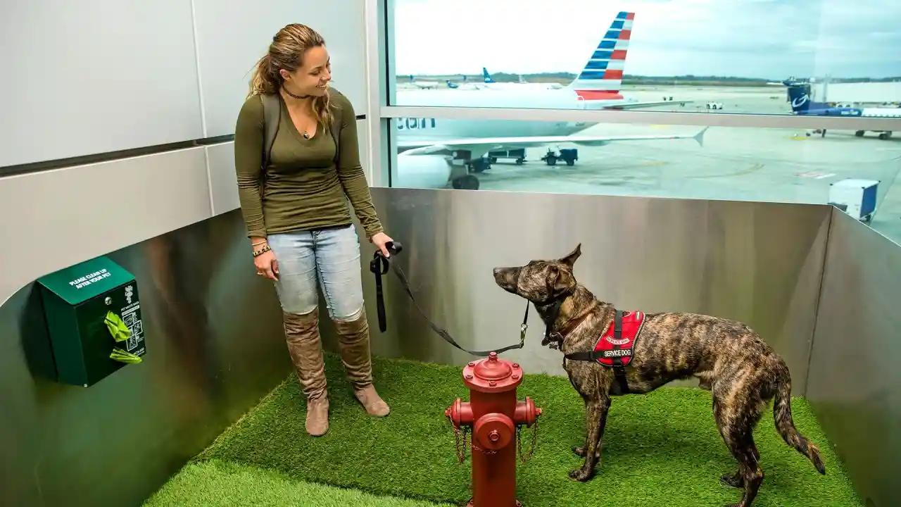 Available Amenities in DIA Pet Relief Area