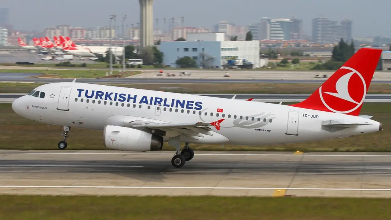 JFK Turkish Airlines Arrival Terminal