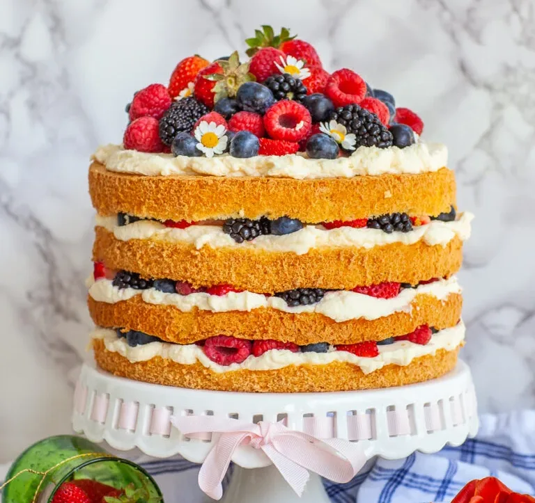 berry-delightful-tres-leches-cake