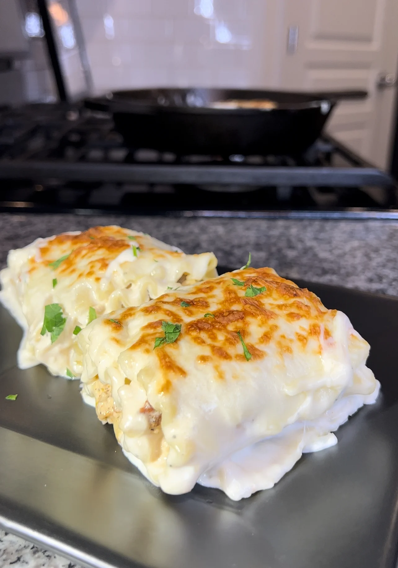 chicken-alfredo-lasagna