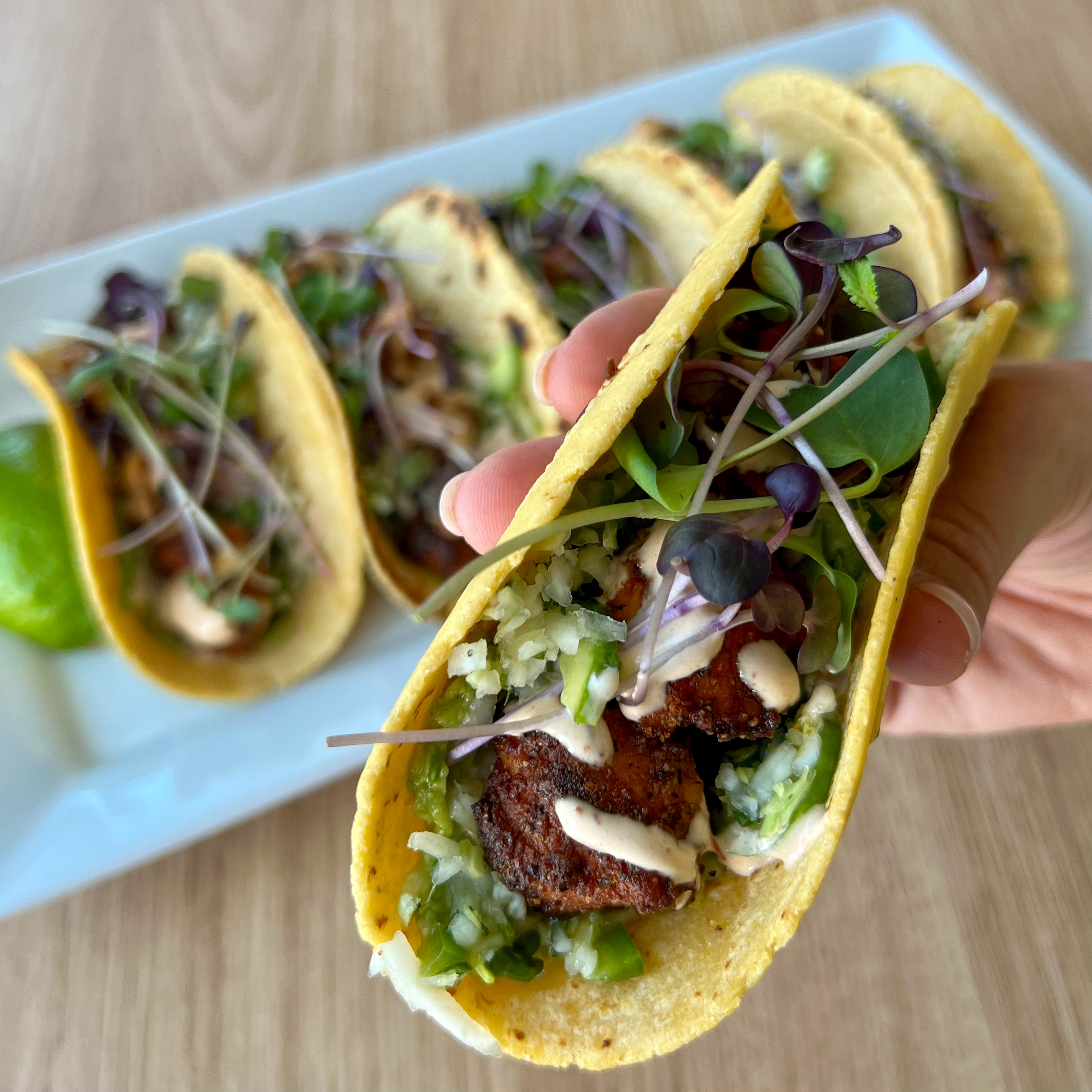 salmon-tacos