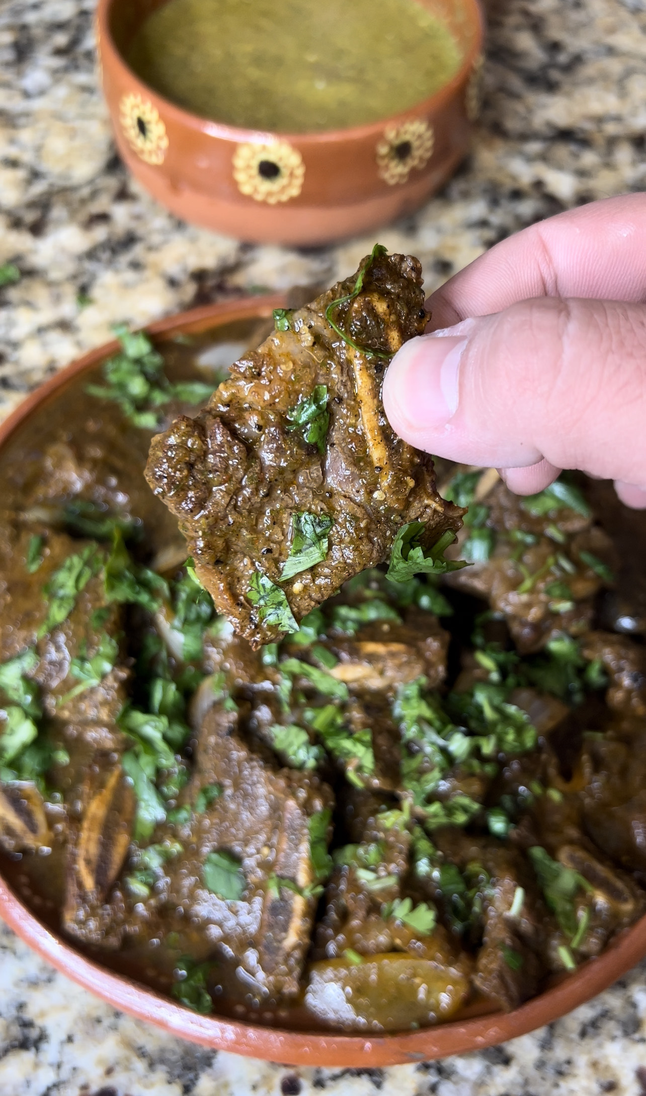 Salsa Verde Beef Ribs Freddsters
